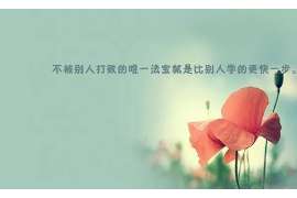 洪湖调查公司